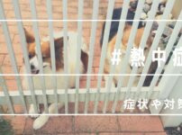 命が大事 犬の熱中症 室内でもエアコンで対策を 温度や症状まとめ じょんかいさくら