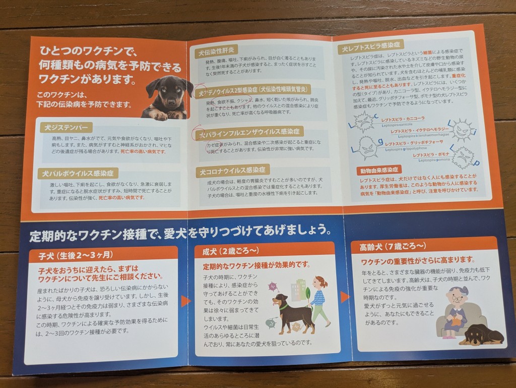 大切な愛犬を怖い病気から守ってあげてください！混合ワクチンの種類や料金や時期